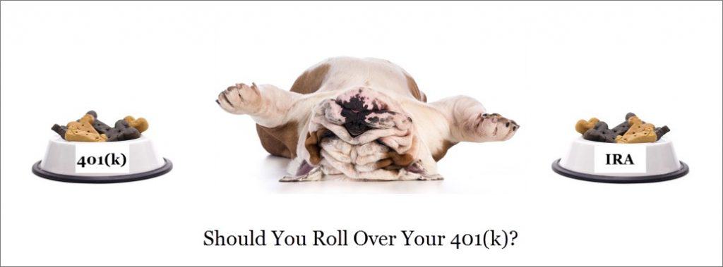 Bulldog on its back, lying between food bowls. One reads "401k" and the other "IRA." Symbolizing question of rolling over 1 401k to an ira.