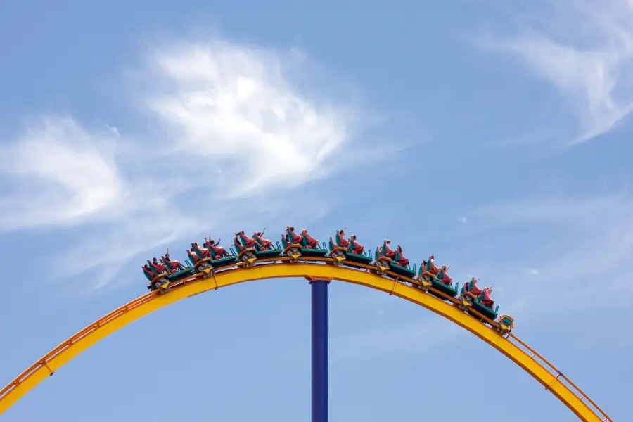 IPOs: From FOMO to JOMO: 1 IPOs: From FOMO to JOMO: